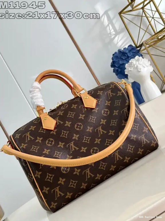 Aaa replica bags Soft 30 Vuitton Speedy Louis Crafty 0609